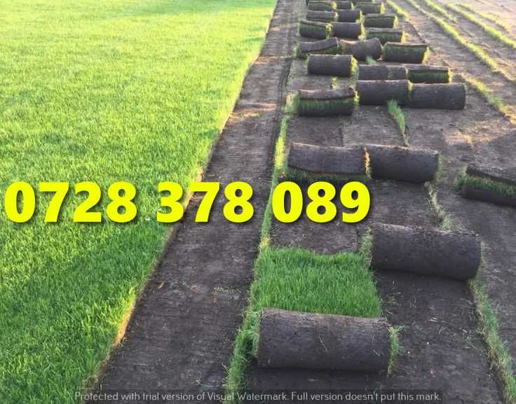 Rulouri de gazon plus Montaj !