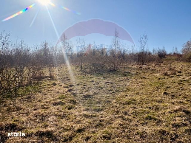 Casă traditionala+TEREN 6.000 mp