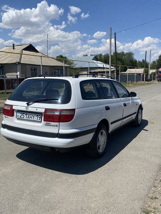 Срочно продам Живую карина Е