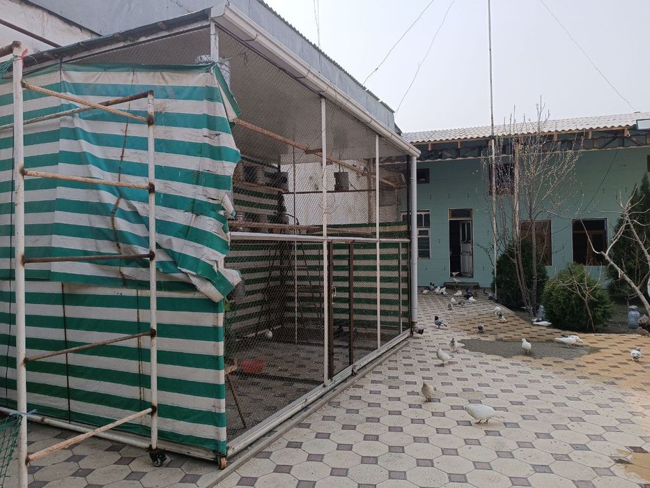 Кафас Кабутар ва парранда бокиш учун мулжалланган