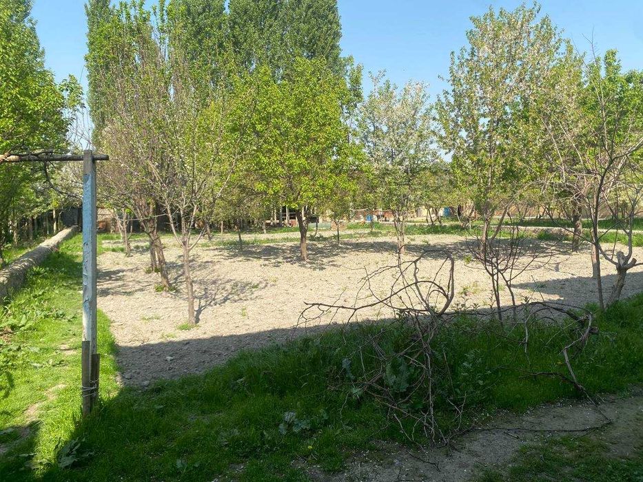 Hovli sotiladi, 12 sotix