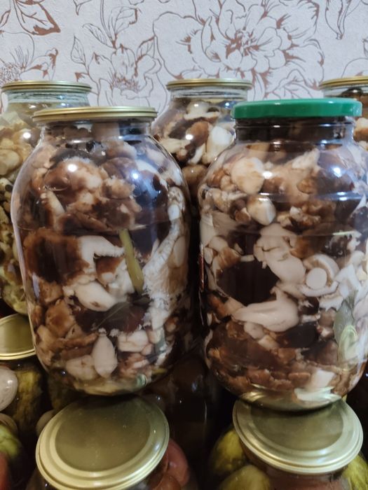 Продам маринованные валуи