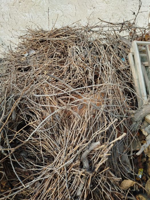 Oʻtin sotiladi oʻtin