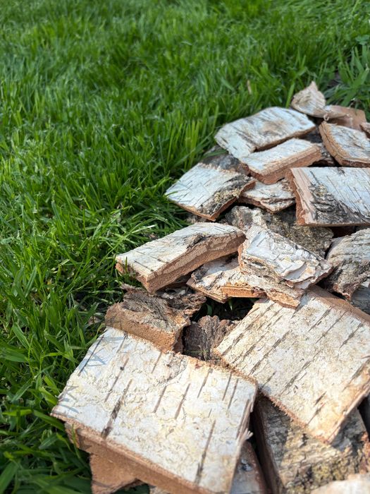 Кора сосны оформление