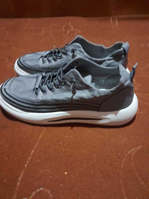 Макас холати янги