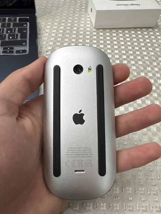 Apple magic mouse