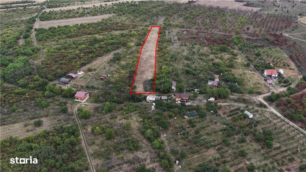 RECO Teren Episcopia