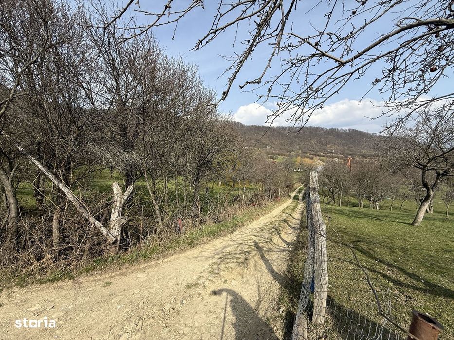 Oportunitate !Teren 1 Hectar Strada Nucului -Priveliste Panoramica