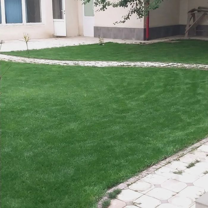 Gazon landshaft dizaynini