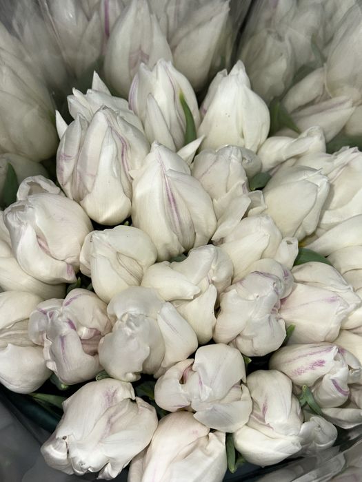 Тюльпаны с доставкой