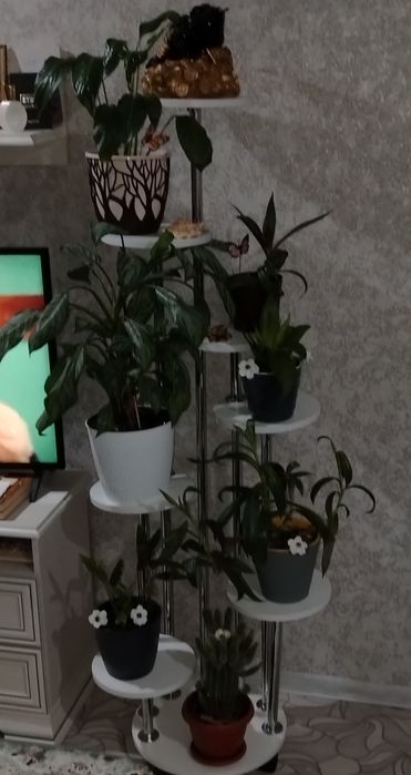 Продам подставки для цветов,7, 8 мест .