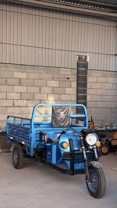 Трицикл муравей электрический