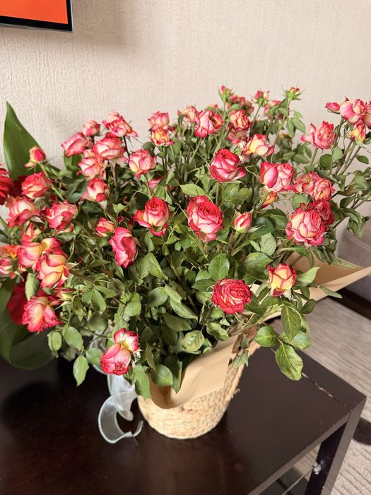 Цветы продам , вчеаршние