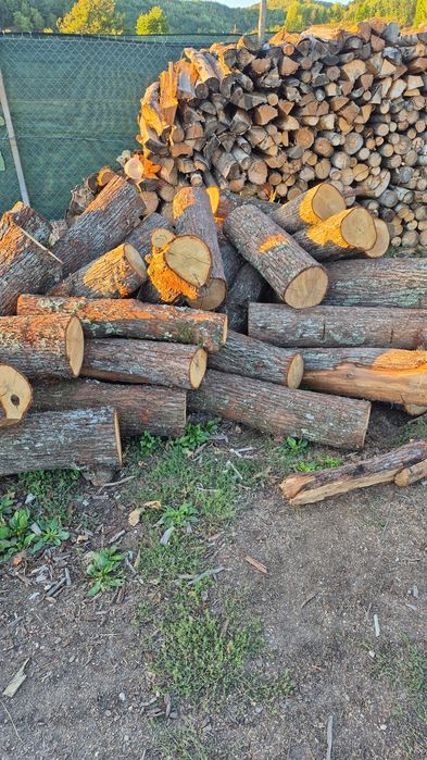 Vindem lemne de foc doar esente tari