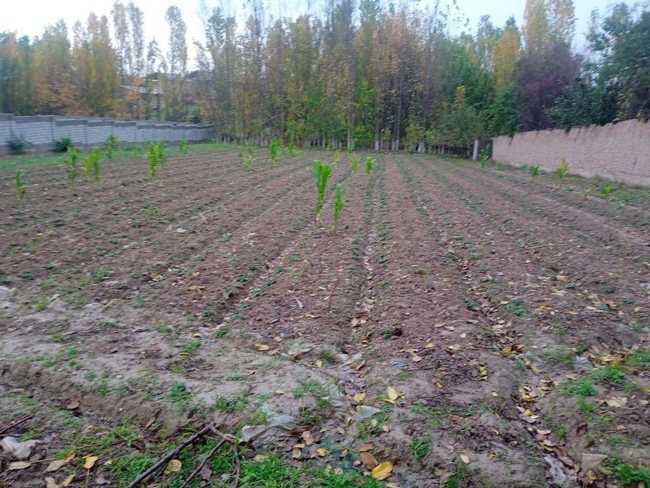 Yer maydoni sotiladi. Narxini kelishamiz.