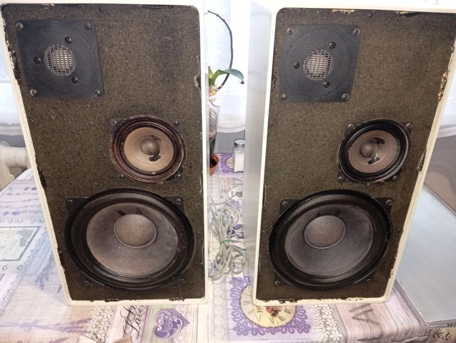 Тонколони Universum