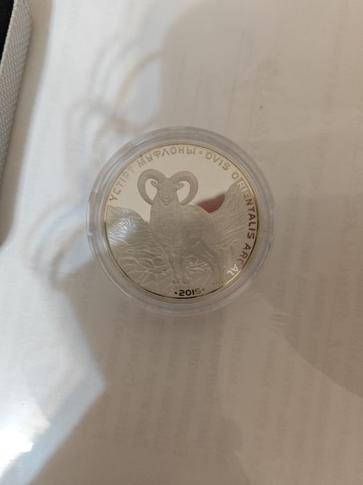 Серебряная монета