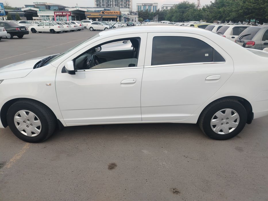 Kobilt 2020 prabek 243 ming