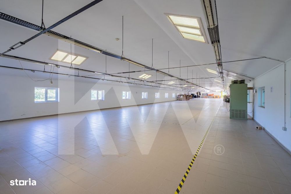 Hala industriala depozitare productie 826mp Sebes