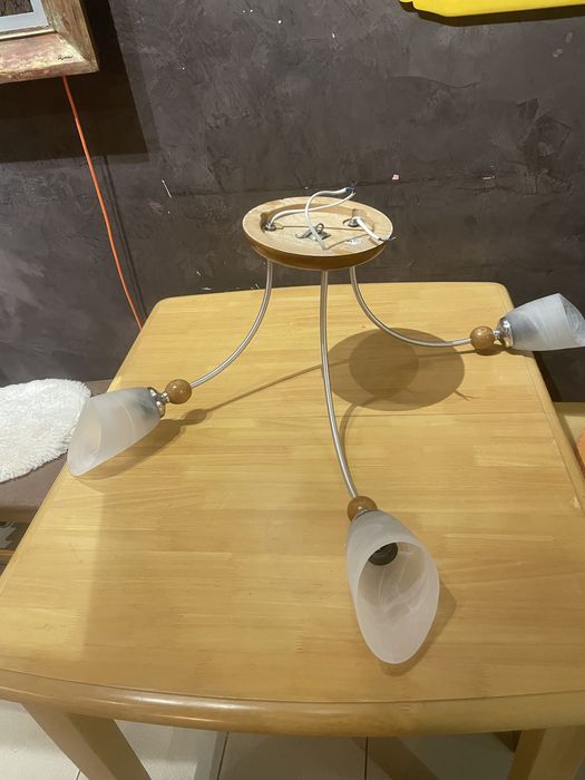 Полилей за таван