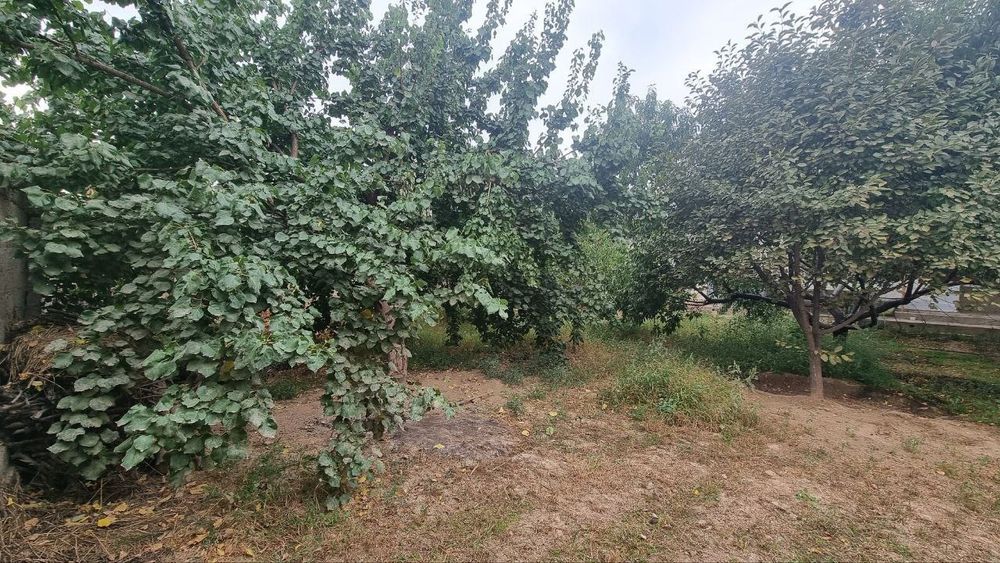 Участка сотилади 6 сотих 4 хона ошхона хаммом битган