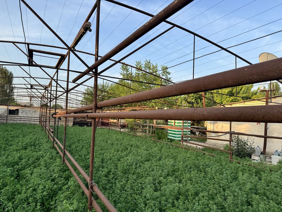 Теплица 3,6 соток