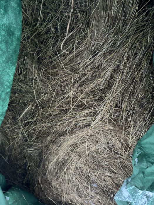 Vand baloti rotunzi de fan