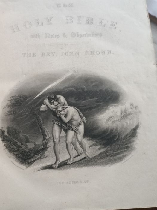 Biblie Anglia secolul 19