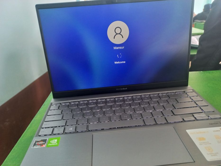 Asus zenbook 14 dm ultrabook