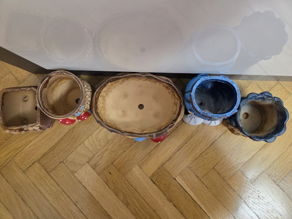 5 ghivece pentru plante mici