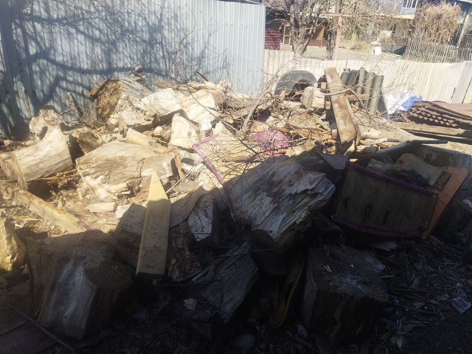 Продам дрова тополь