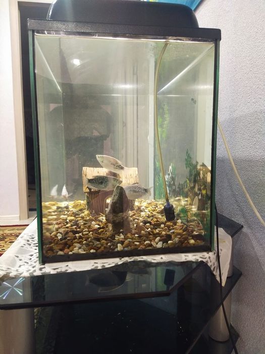 Продам аквариум с подставкой
