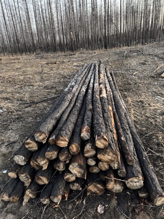 Продам 6-ти метровые жерди