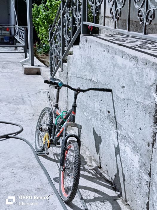 Велик спартивний