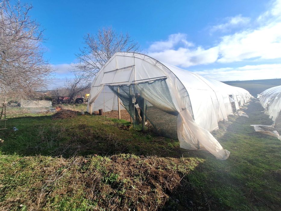 Продавам оранжерии Тервел