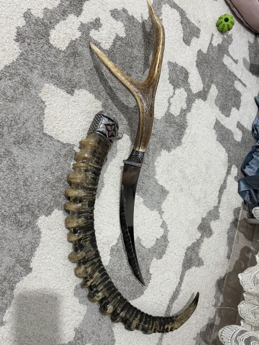 Рога Горный козлых!