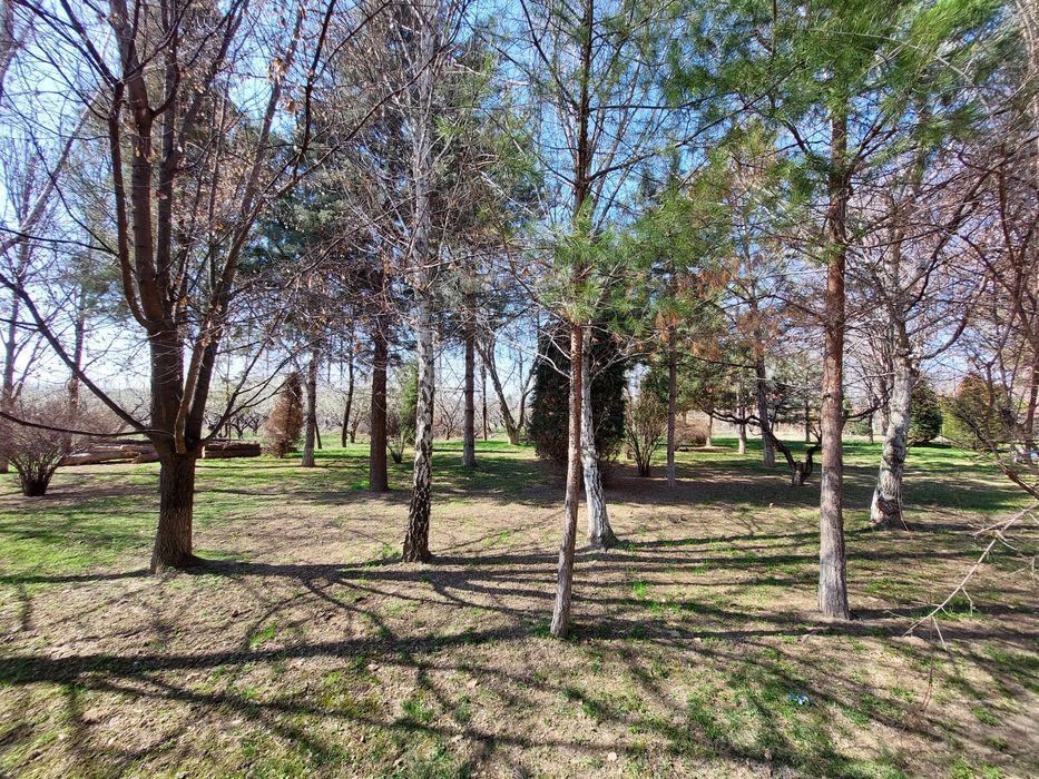 Кибрай! Продаётся 8 гектаров вдоль дороги под любой бизнес