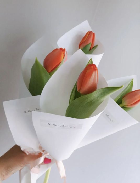 Тюльпаны оптом и в розницу