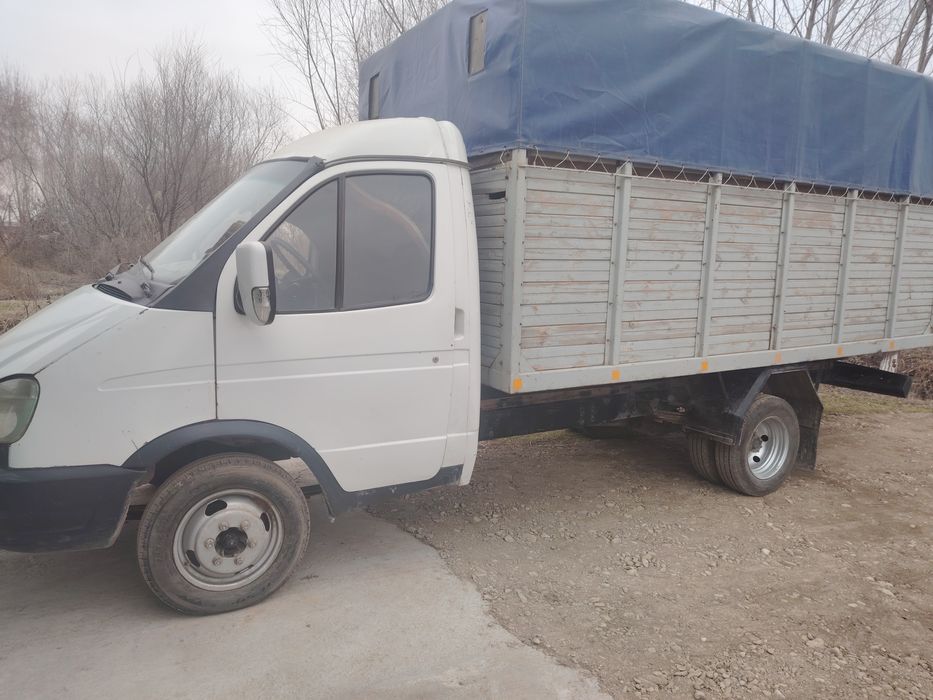 Gazel zor sastayaniya