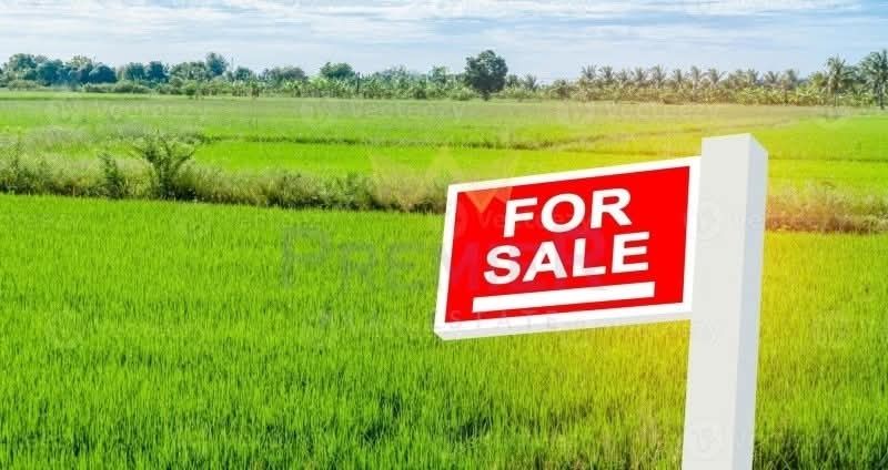 Рей Консулт продава парцел в с.Странско,общ.Димитровград