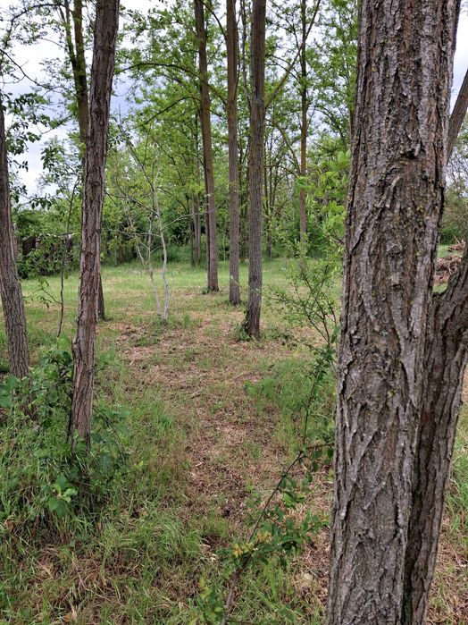 Продава се Парцел в Добрич, Център - 1150 кв.м за 61 €/кв.м - Снимка #2