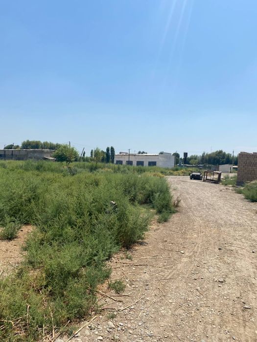 Sirdaryo shahar Uzbekiston kalhozida (Boston) 4 gektar ferma