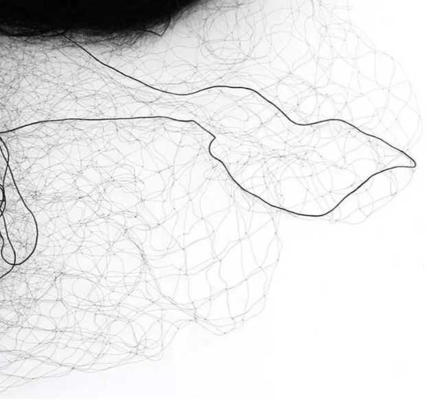 Plasa verticala anti pasari 3m x 15m