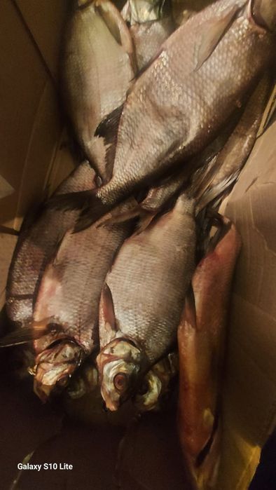 Лещ вяленный доставка по городу