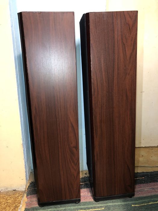 Френски Тонколони Elipson