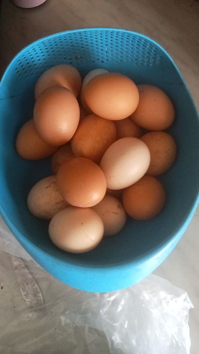 В продаже домашние яйца