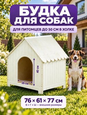 Бутка для собак заказывайте сейчас