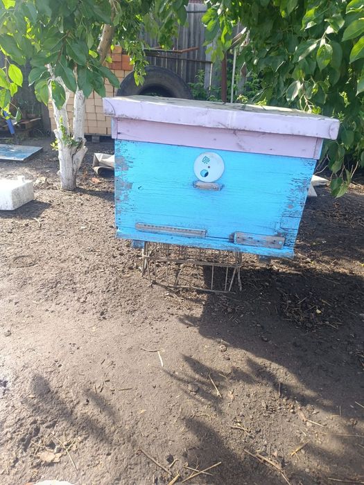 Продам улей для пчел с рамками