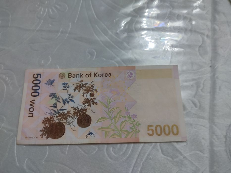 Koreya pullari ikkisi 160000 soʻm kelishiladi