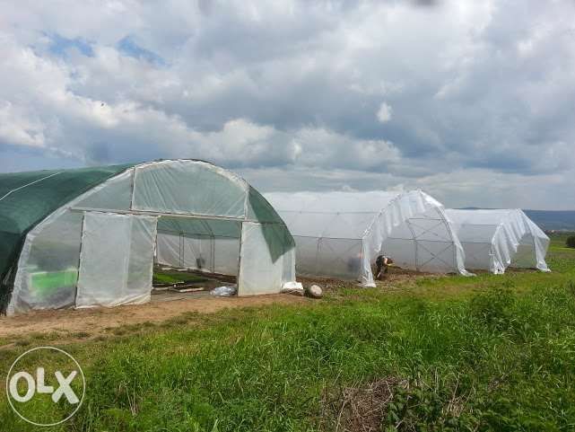 оранжерия,оранжерии,парници,гъбарници